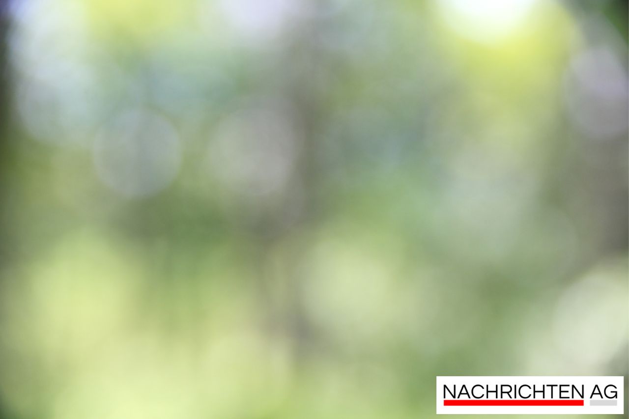 Mietreport 2025: Überraschende Preisspannen in Deutschland enthüllt!