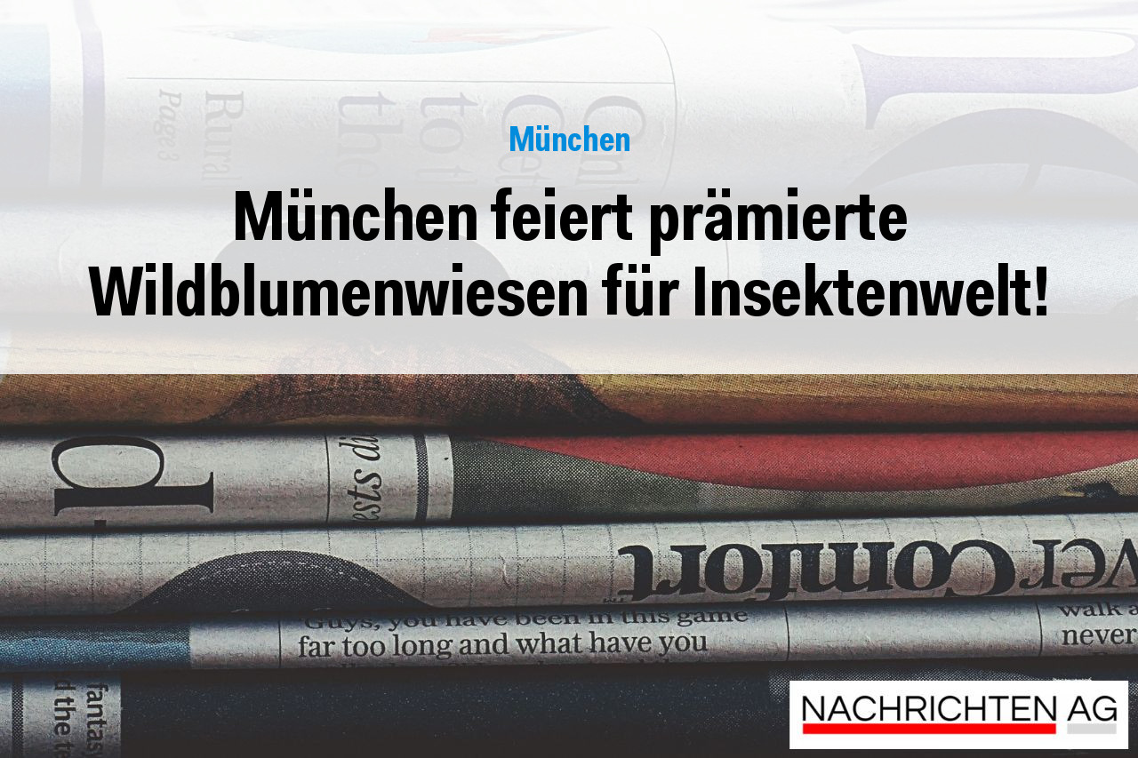 München feiert prämierte Wildblumenwiesen für Insektenwelt!