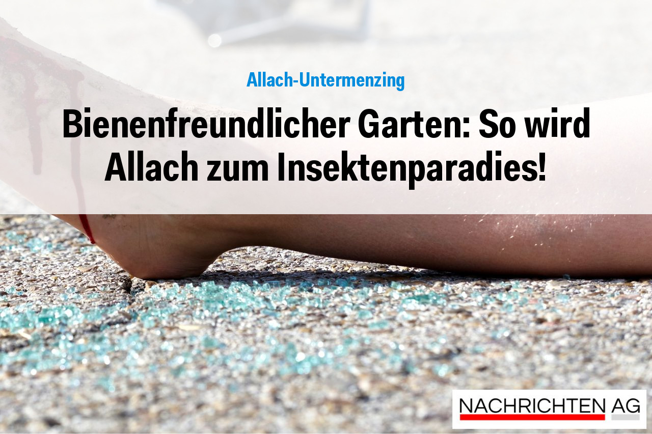 Bienenfreundlicher Garten: So wird Allach zum Insektenparadies!