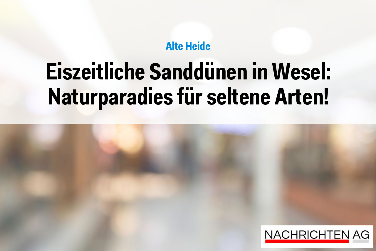 Eiszeitliche Sanddünen in Wesel: Naturparadies für seltene Arten!