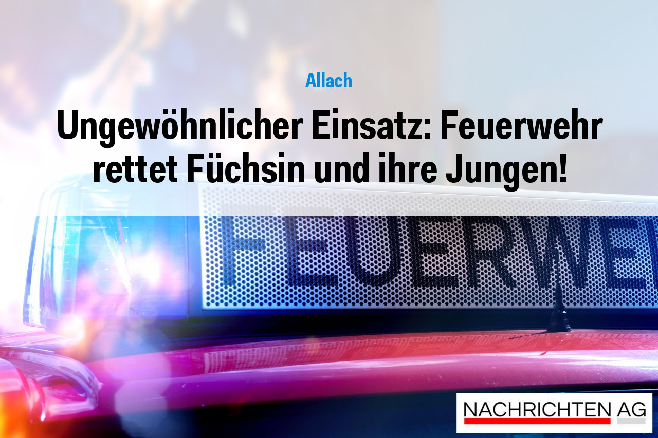 Ungewöhnlicher Einsatz: Feuerwehr rettet Füchsin und ihre Jungen!