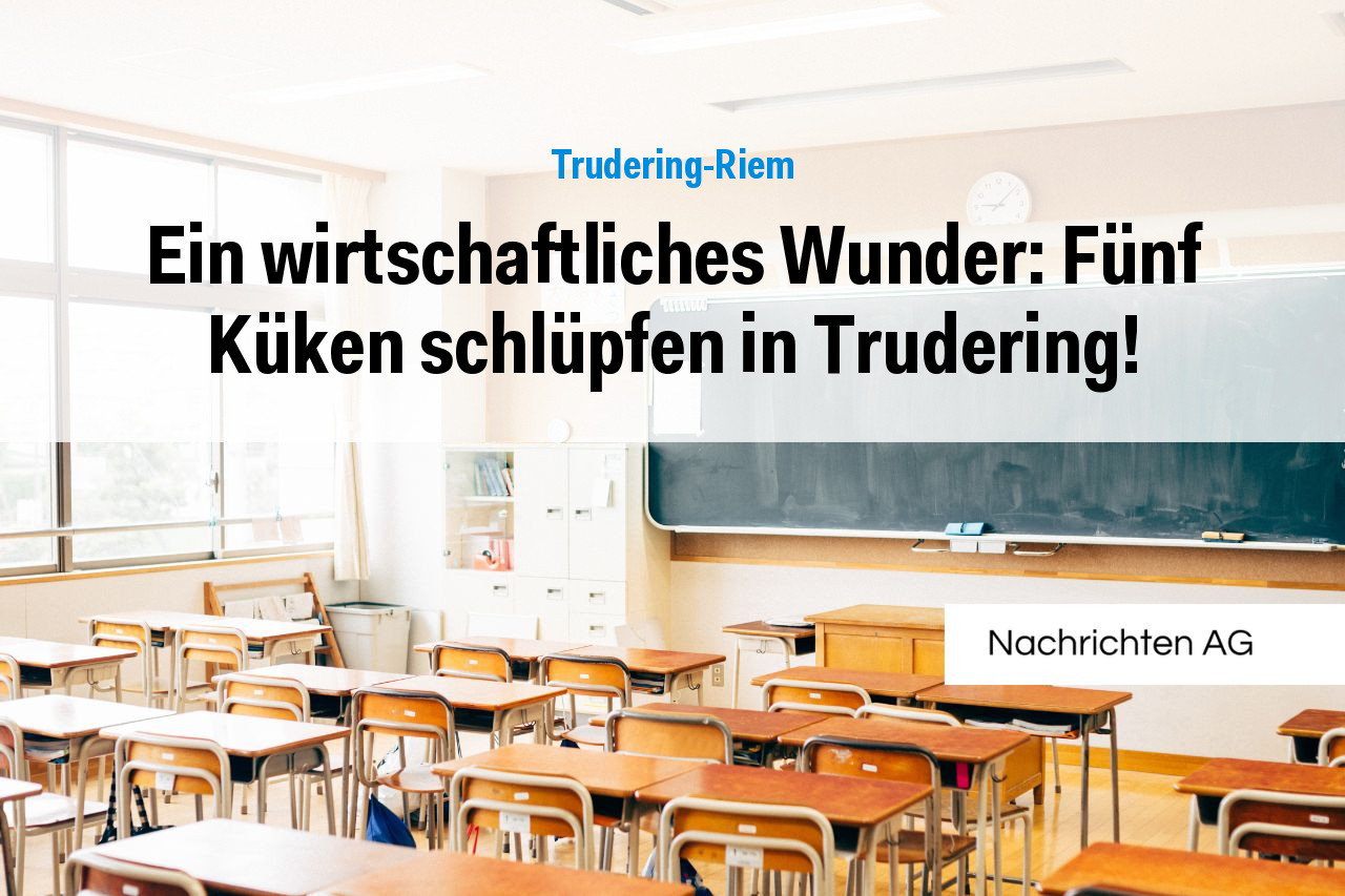Ein wirtschaftliches Wunder: Fünf Küken schlüpfen in Trudering!