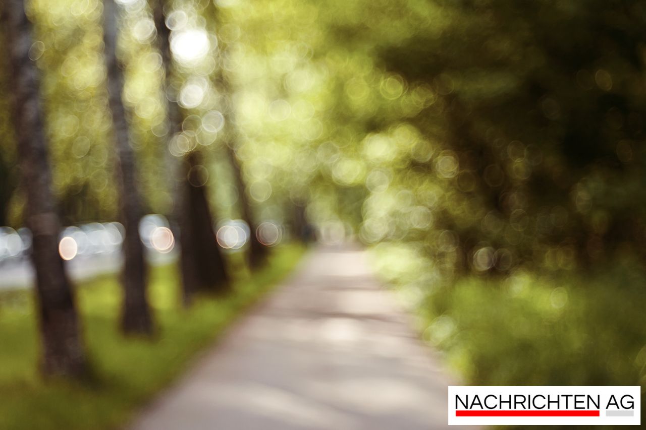 Technische Panne! Riesenwindrad in Moosach steht still - was nun?